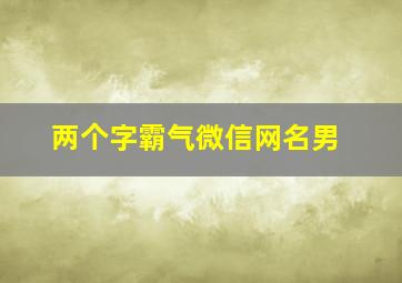 两个字霸气微信网名男