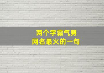 两个字霸气男网名最火的一句