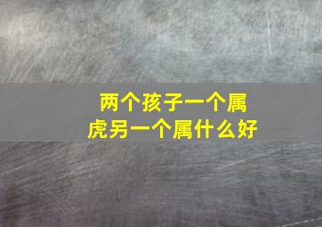 两个孩子一个属虎另一个属什么好