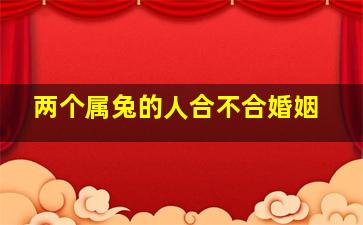 两个属兔的人合不合婚姻