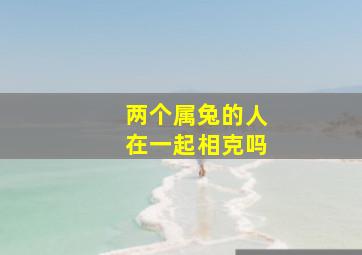 两个属兔的人在一起相克吗