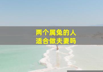 两个属兔的人适合做夫妻吗