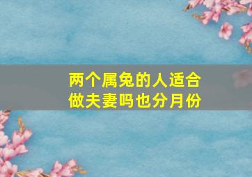 两个属兔的人适合做夫妻吗也分月份