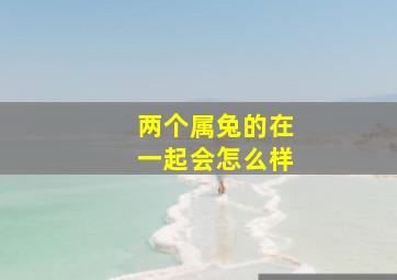 两个属兔的在一起会怎么样