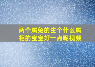 两个属兔的生个什么属相的宝宝好一点呢视频