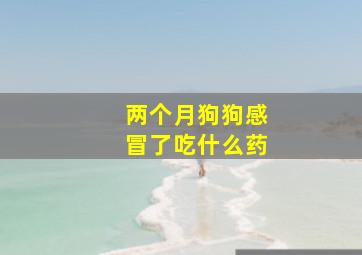 两个月狗狗感冒了吃什么药