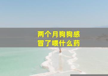 两个月狗狗感冒了喂什么药