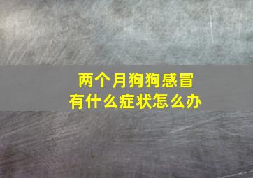 两个月狗狗感冒有什么症状怎么办