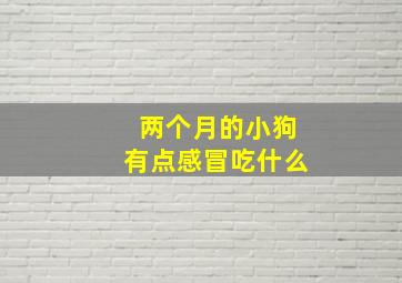 两个月的小狗有点感冒吃什么