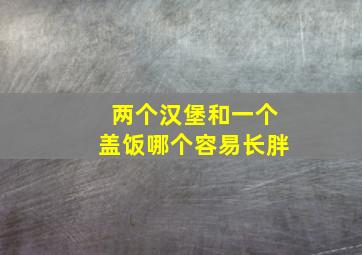 两个汉堡和一个盖饭哪个容易长胖