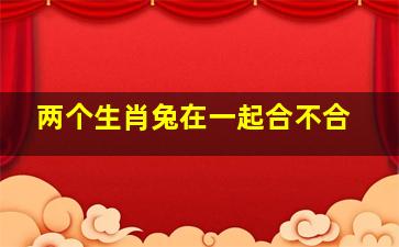 两个生肖兔在一起合不合