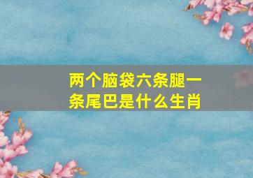 两个脑袋六条腿一条尾巴是什么生肖