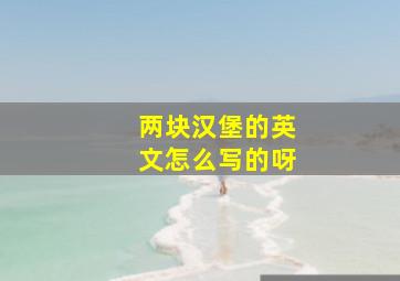 两块汉堡的英文怎么写的呀