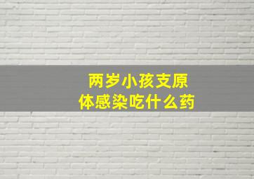 两岁小孩支原体感染吃什么药