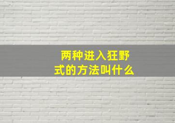 两种进入狂野式的方法叫什么