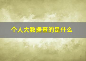 个人大数据查的是什么