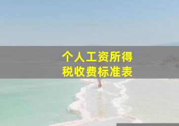 个人工资所得税收费标准表