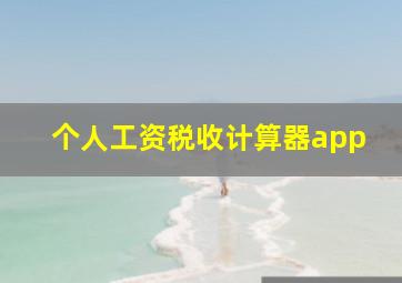 个人工资税收计算器app