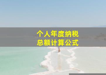 个人年度纳税总额计算公式