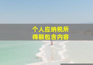 个人应纳税所得额包含内容