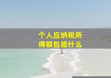 个人应纳税所得额包括什么