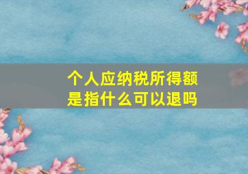 个人应纳税所得额是指什么可以退吗