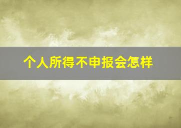 个人所得不申报会怎样