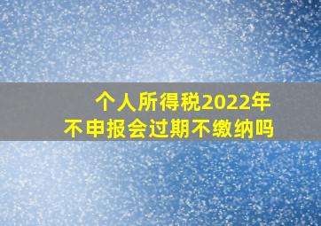 个人所得税2022年不申报会过期不缴纳吗