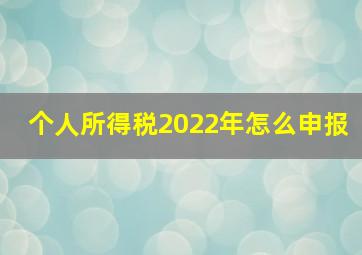 个人所得税2022年怎么申报