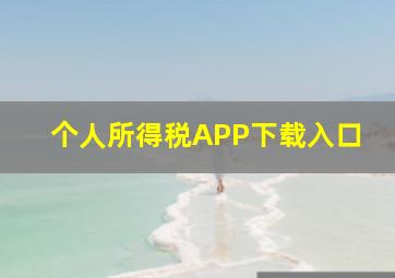 个人所得税APP下载入口