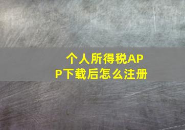 个人所得税APP下载后怎么注册