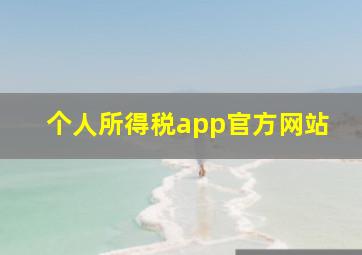 个人所得税app官方网站