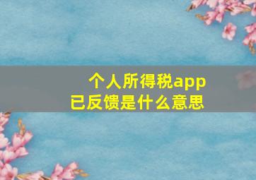 个人所得税app已反馈是什么意思