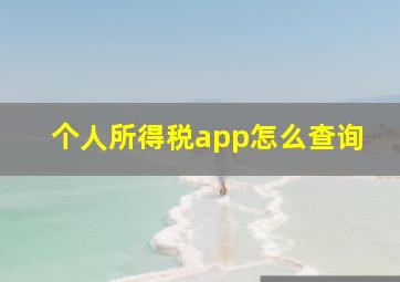 个人所得税app怎么查询