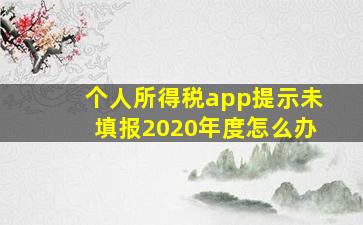 个人所得税app提示未填报2020年度怎么办