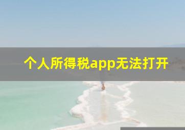 个人所得税app无法打开