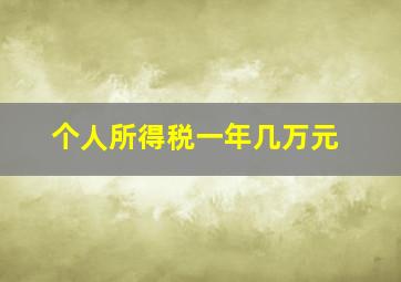 个人所得税一年几万元