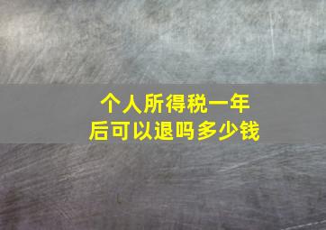 个人所得税一年后可以退吗多少钱