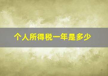 个人所得税一年是多少