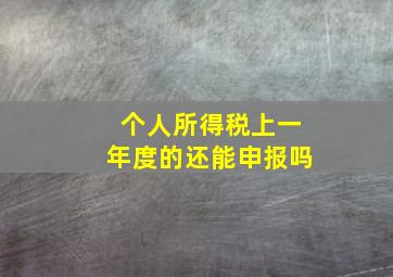 个人所得税上一年度的还能申报吗