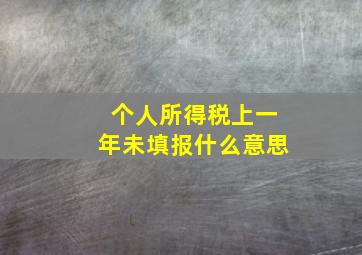 个人所得税上一年未填报什么意思