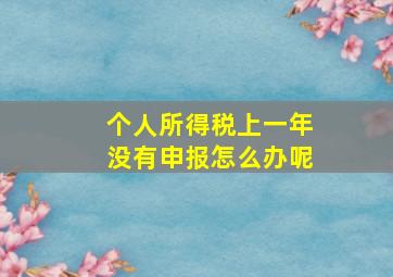 个人所得税上一年没有申报怎么办呢