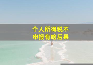 个人所得税不申报有啥后果