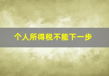 个人所得税不能下一步