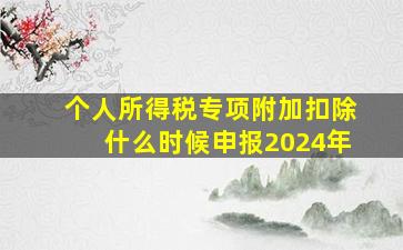 个人所得税专项附加扣除什么时候申报2024年