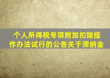 个人所得税专项附加扣除操作办法试行的公告关于滞纳金