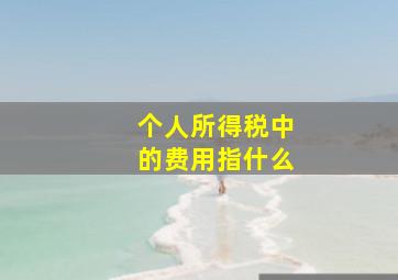 个人所得税中的费用指什么