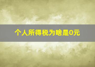 个人所得税为啥是0元