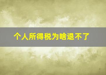 个人所得税为啥退不了