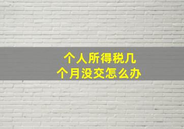 个人所得税几个月没交怎么办